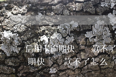 信用卡逾期快貸貸款不了怎么辦-信用卡逾期快貸貸款不了怎么辦呢