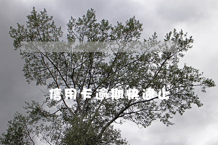 信用卡逾期快速止損