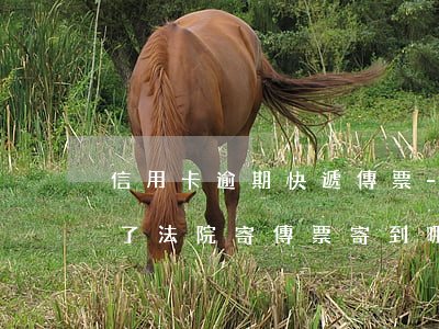 信用卡逾期快遞傳票-欠信用卡逾期被起訴了 法院寄傳票寄到哪里