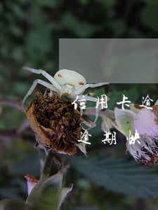 信用卡逾期快還清了收到立案通知-信用卡逾期快還清了收到立案通知怎么辦