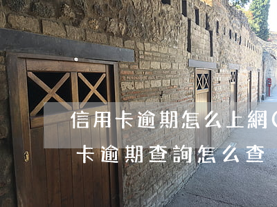 信用卡逾期怎么上網(wǎng)查詢(信用卡逾期查詢怎么查)