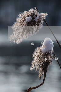 信用卡逾期怎么上網(wǎng)貸-逾期以后的信用卡如何才可以正常使用