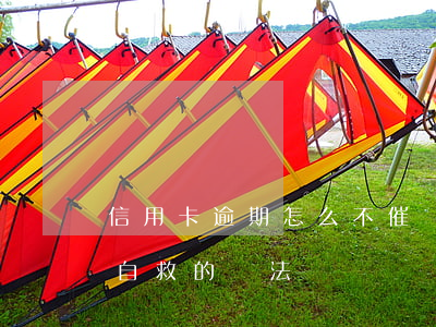信用卡逾期怎么不催還錢-欠信用卡逾期了自救的辦法