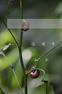 信用卡逾期怎么不扣钱 不知道信用卡逾期怎么办