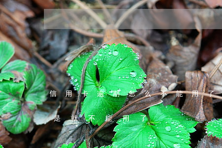信用卡逾期怎么不能用了(信用卡逾期后是不是就不能用了)