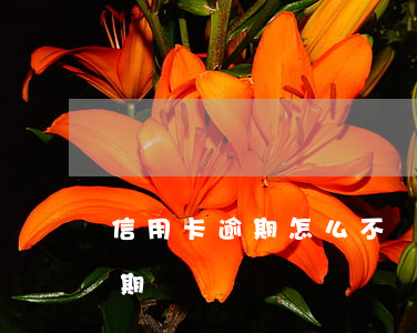 信用卡逾期怎么不讓人知道(不小心信用卡逾期)