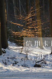 信用卡逾期怎么主動協(xié)商還款(跟信用卡協(xié)商成功后又逾期了)