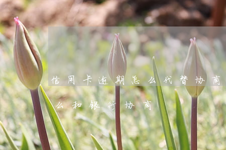 信用卡逾期怎么代替协商(信用卡面临逾期怎么和银行协商)
