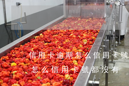 信用卡逾期怎么信用卡號都沒有 信用卡逾期怎么信用卡號都沒有