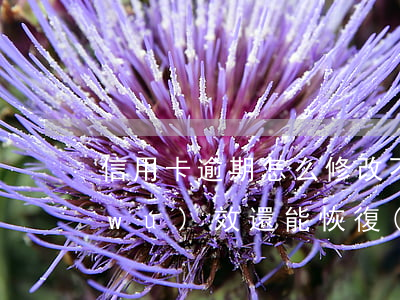 信用卡逾期怎么修改不了(逾期得信用卡無(wú)效還能恢復(fù)嗎)