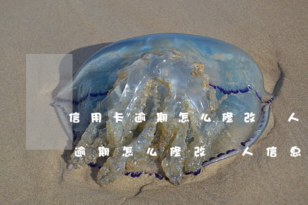 信用卡逾期怎么修改個人信息記錄-信用卡逾期怎么修改個人信息記錄呢