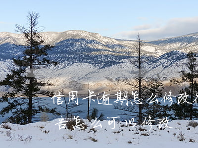 信用卡逾期怎么修改征信(征信報(bào)告怎么可以修改)