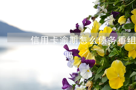 信用卡逾期怎么债务重组(债务重组处理信用卡靠谱吗)