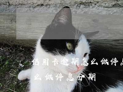 信用卡逾期怎么做停息分期嗎(信用卡逾期怎么做停息分期嗎?)