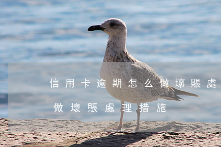 信用卡逾期怎么做壞賬處理(信用卡逾期怎么做壞賬處理措施)