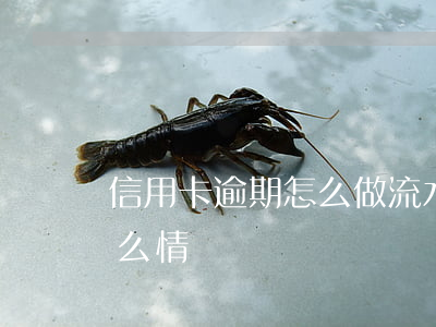 信用卡逾期怎么做流水(辦信用卡走流水是什么情況)