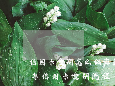信用卡逾期怎么做癖免恶意拖欠-2022年信用卡逾期流程