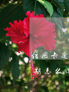 信用卡逾期怎么做避免刑法(因判刑信用卡逾期怎么办)