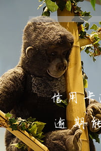 信用卡逾期怎么做飛機(jī)嗎-銀行卡逾期能坐飛機(jī)么