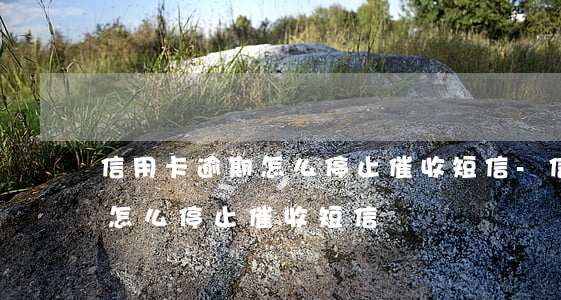 信用卡逾期怎么停止催收短信-信用卡逾期怎么停止催收短信