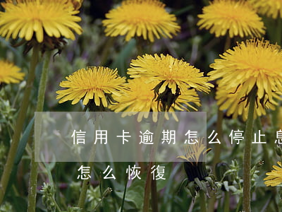 信用卡逾期怎么停止息損(逾期停用的信用卡怎么恢復)