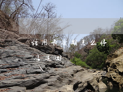 信用卡逾期怎么停滯納金(信用卡的滯納金可以追回嗎)