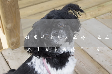 信用卡逾期怎么停還最正確還錢(我信用卡逾期了三年 卡停了 還能還錢嗎)
