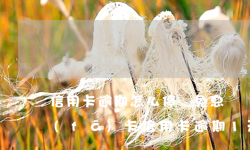 信用卡逾期怎么停額免息廣發(fā)(廣發(fā)卡信用卡逾期1天)