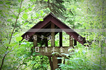 信用卡逾期怎么先還本金(信用卡逾期后一次性還清本金可以嗎)