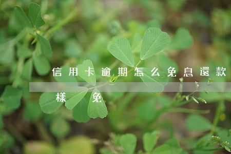 信用卡逾期怎么免息還款 想還信用卡,利息怎樣減免