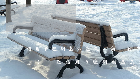 信用卡逾期怎么免款-向銀行申請(qǐng)減免信用卡逾期利息怎么申請(qǐng)
