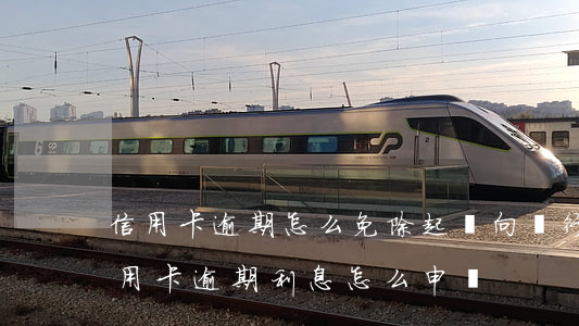 信用卡逾期怎么免除起訴(向銀行申請減免信用卡逾期利息怎么申請)