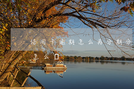 信用卡逾期怎么再分期(分期的信用卡逾期了怎么辦)