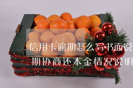 信用卡逾期怎么写书面说明(如何写信用卡逾期协商还本金情况说明书)