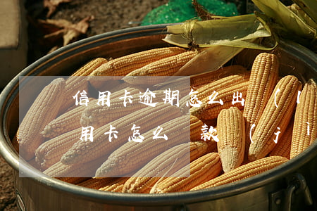 信用卡逾期怎么出來(lái)-逾期的信用卡怎么還款進(jìn)去