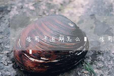 信用卡逾期怎么刪-信用卡逾期怎么刪除記錄