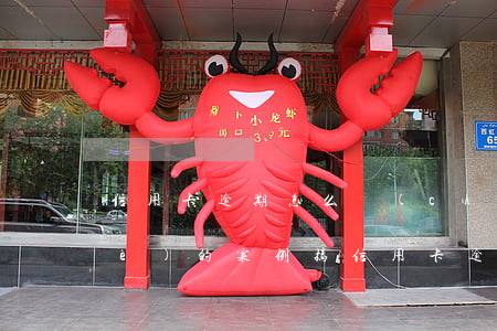 信用卡逾期怎么創(chuàng)業(yè)的案例(搞信用卡逾期賺錢嗎)