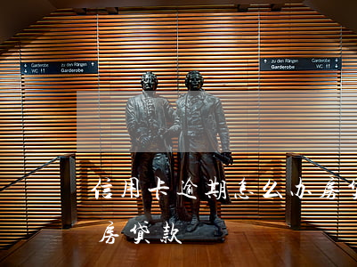 信用卡逾期怎么办房贷款(信用卡逾期怎么办房贷款)
