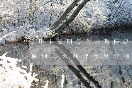 信用卡逾期怎么办理停息分期手续-信用卡逾期怎么办理停息分期手续的