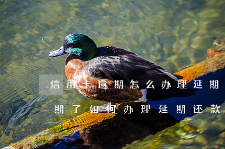 信用卡逾期怎么办理延期还款业务，信用卡逾期了，如何办理延期还款业务？
