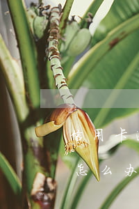 信用卡逾期怎么办还不上(信用卡逾期还不上怎么办用什么办法解决)