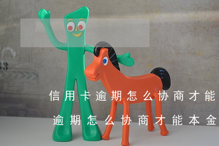 信用卡逾期怎么协商才能本金分期-信用卡逾期怎么协商才能本金分期还款