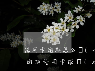 信用卡逾期怎么協(xié)商免息還款(還逾期信用卡跟誰(shuí)商量能免滯納金)