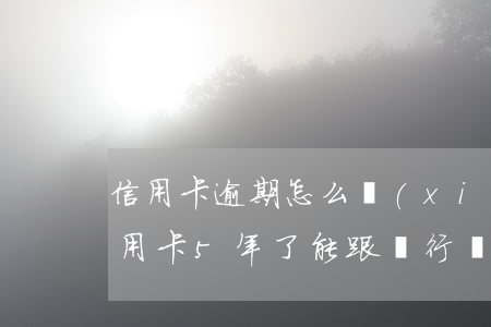 信用卡逾期怎么協(xié)商分五年(欠信用卡5年了能跟銀行協(xié)商)