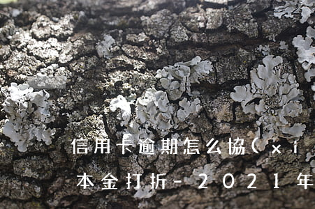 信用卡逾期怎么協(xié)商利息全免還本金打折-2021年信用卡逾期怎么協(xié)商