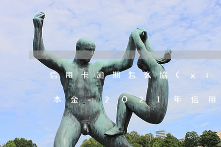 信用卡逾期怎么協(xié)商少還利息還本金-2021年信用卡逾期怎么協(xié)商