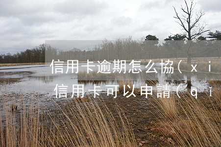 信用卡逾期怎么協(xié)商掛賬停息(欠信用卡可以申請(qǐng)停息掛賬嗎)