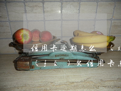 信用卡逾期怎么協(xié)商最有利浦發(fā)(欠信用卡怎么協(xié)商最好)