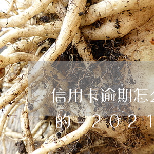 信用卡逾期怎么協(xié)商減免利息費的-2021年信用卡逾期怎么協(xié)商