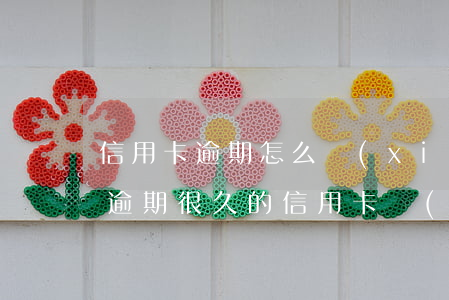 信用卡逾期怎么協(xié)商還款最少-逾期很久的信用卡協(xié)商
